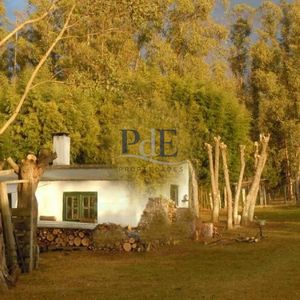 Chacra En Zona Rural, Punta Del Este. Terreno De 5 M2