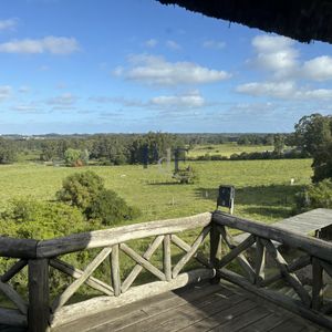 Chacra De 5 Dormitorios En Punta Ballena.