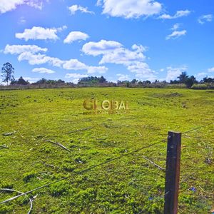 Venta De Chacra En Canelon Chico