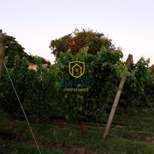 Chacra En Venta En Juanicó Con 7 Has