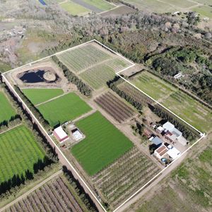 Chacra En Venta En Las Piedras Con 4.2 Has Y 4 Viviendas