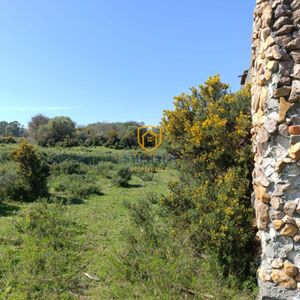 Campo En Venta En Joaquín Suárez Con 17 Has
