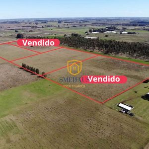 Chacra En Venta En Paso Del Medio Sauce Con 3 Has