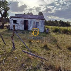 Campo En Venta En Migues Con 10,8 Has