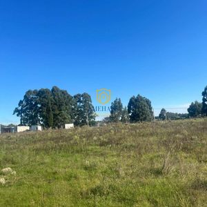 Chacra En Venta En Toledo Con H5 Has