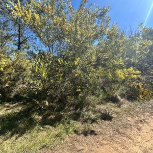 Terreno En Venta De 696m2 Ubicado En La Paloma