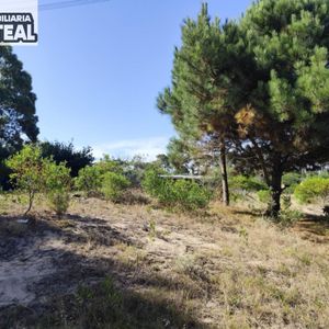 Terreno En Venta De 500m2 Ubicado En La Paloma