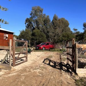 Casa En Alquiler En La Paloma