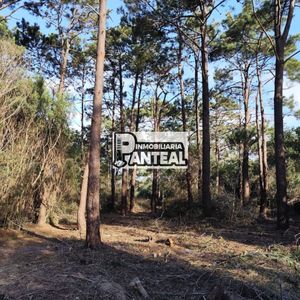 Terreno En Venta De 548m2 Ubicado En La Paloma