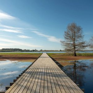 Venta De Lotes , Chacras, Laguna Del Cisne, Costa De Oro