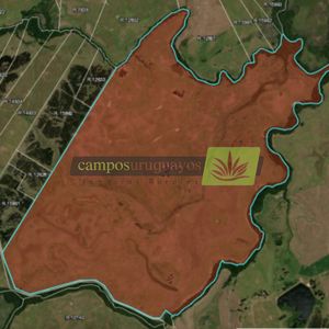 Campo En Venta De 600ha Ubicado En Cerro Batovi