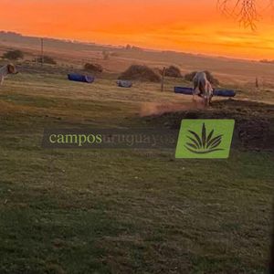 Estancia Piedra Chata-
