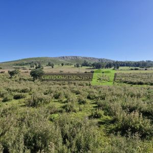 Venta Chacra De 1 Hectárea Zona Rural Maldonado