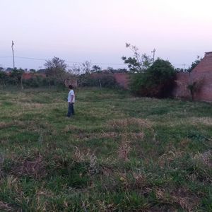 Vendo Dos Lotes (juntos O Separados)