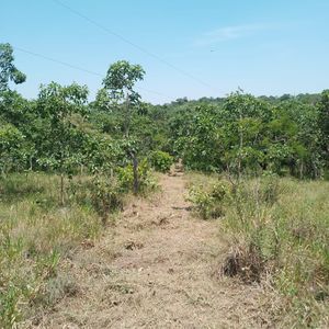 Terreno Buena Vista  Multifuncional Para Producir Al Tc Oficial