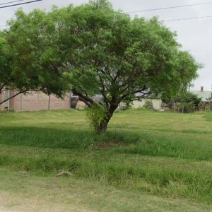 Terreno A Metros De Tula Suarez De Cutinella