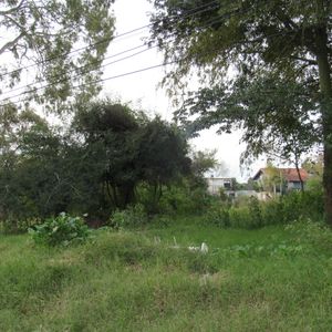 Terreno En Real De San Carlos, Calle Tacuabé