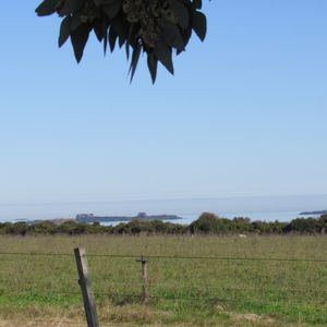 2 Has Con Vista Al Rio, El Caño