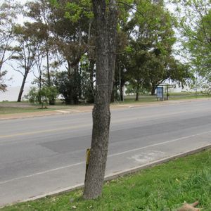 Terreno En Primera Línea Rambla