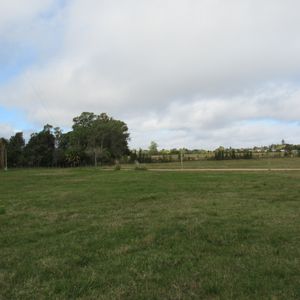 Terreno En Altos De San Carlos, En Altura