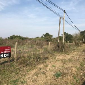 Terreno En Carmelo, 600 Mts Sobre Calle Mortalena