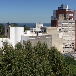 Apartamento 1 Dormitorio En Parque Rodo
