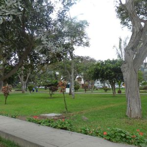 Casa En Venta En Linda Zona De La Molina - Muy Cerca A Parque