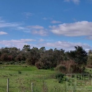 Chacra De 3 Hás En Venta En Las Brujas