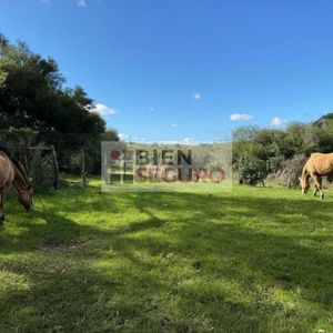 Hermosa Chacra Con Construcciones, Monte Nativo Y Cascada,  En Venta En Minas