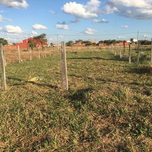 Por Motivo De Salud Se Da En Oferta Lote