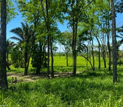 Propiedad Agricola En Venta 