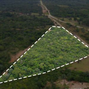 Terreno De 1 Hectaria En Porongo