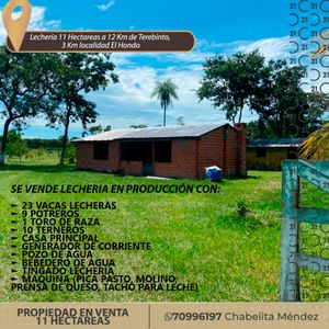 Propiedad Lechera De 11 Hectáreas, El Hondo, Urubo