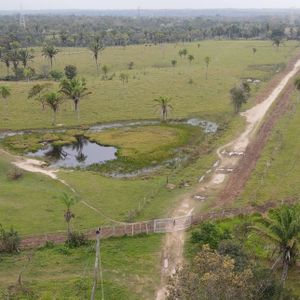 Los Olivos (154 Ha. De Propiedad Urbanizable)
