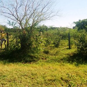 Venta De Terreno
