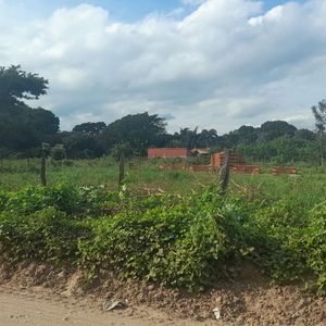 Inmueble # 376 Terrenos En Venta En Zona Norte, Barrio Palos Verdes