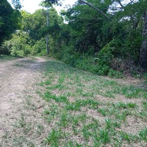 Hermoso Propiedad De Casi 1hectárea En Urbanizacion  A 5km De La Guardia