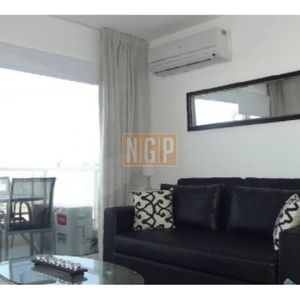 Apartamento En Peninsula, Monoambiente