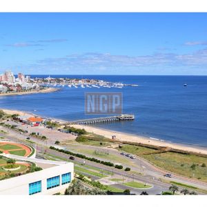 Hermoso Apartamento En Playa Mansa , Consulte!