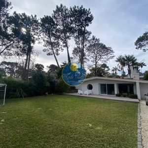 Libre Primera Quincena De Enero Alquiler En Punta Del Este