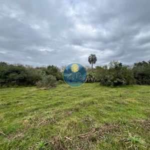 Venta De Chacras De 3 Has En Camino De Los Ceibos. Maldonado.