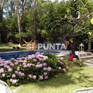 Casa De 4 Dormitorios En Venta - Pinares