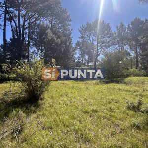 Lote Apto Para Ph En Pinares Punta Del Este
