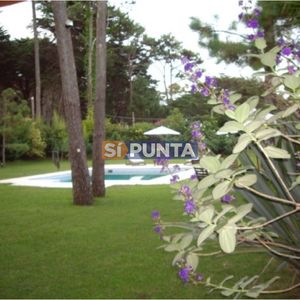 Casa En Venta, 5 Dormitorios Playa Brava