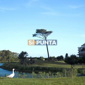 Lote En Venta Veramansa