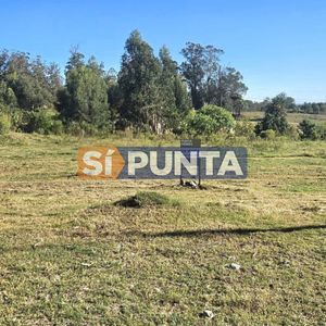 Venta De Terreno De 1200 M2 Frente Al Club De Golf De Punta Del Este.