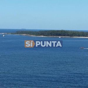 Apartamento Frente Al Mar En Playa Mansa