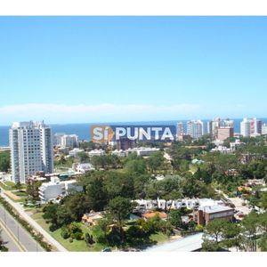 Frente A Punta Shopping, Excelente Ubicación, Piso Alto. Alquiler Anual Y Temporal