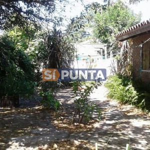 Casa En Punta Del Este, Pinares