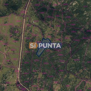 Chacra En Venta, 5 Hectáreas